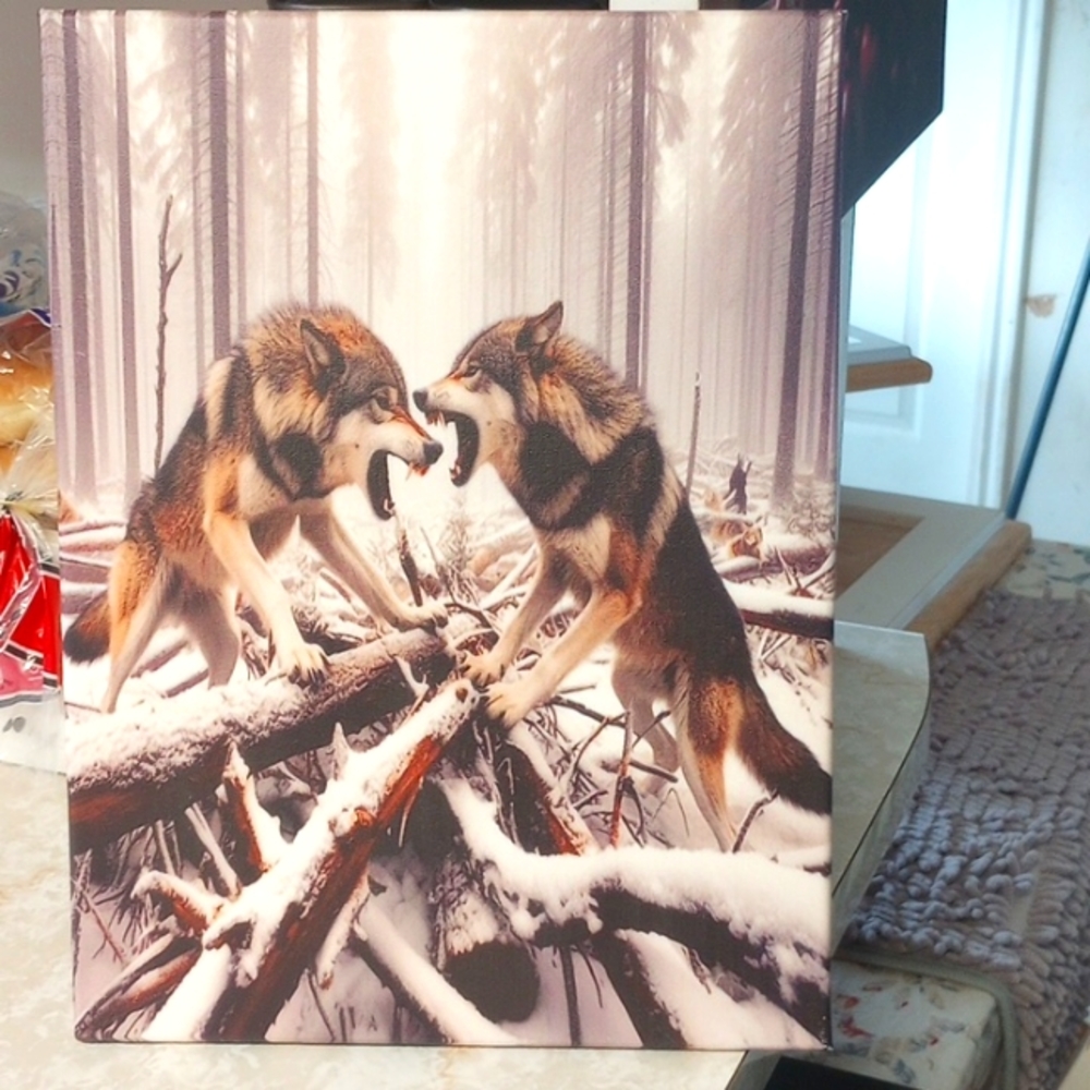Canvas picture two wolves engaging in battle.